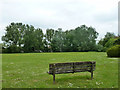 Green, Paslow Wood Common