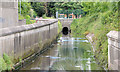 The canal, Newtownards (2013-3)