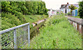 The canal, Newtownards (2013-4)