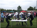 The start of the World Custard Pie Flinging Championship