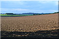 Firing ranges near Barton Stacey