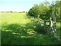 Stile into the plantation