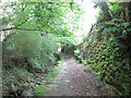 Footpath beside Denholme Beck