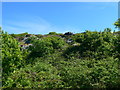 On the way up Craig y Gigfran