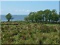 Whiteport, Lough Neagh