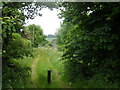 TQ4799 : Bridleway to Hobbs Cross Farm by Bikeboy