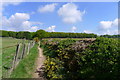 Cycle Route 6 on Sandy Lane