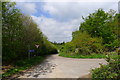 Cycle Route 6 at the junction of New Lane with Cross Lane