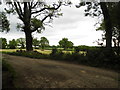 Field by the entrance to Coldharbour Farm