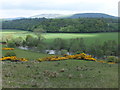 View over the Ettrick Water