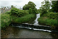 Green Oasis, Brockhampton, Hampshire