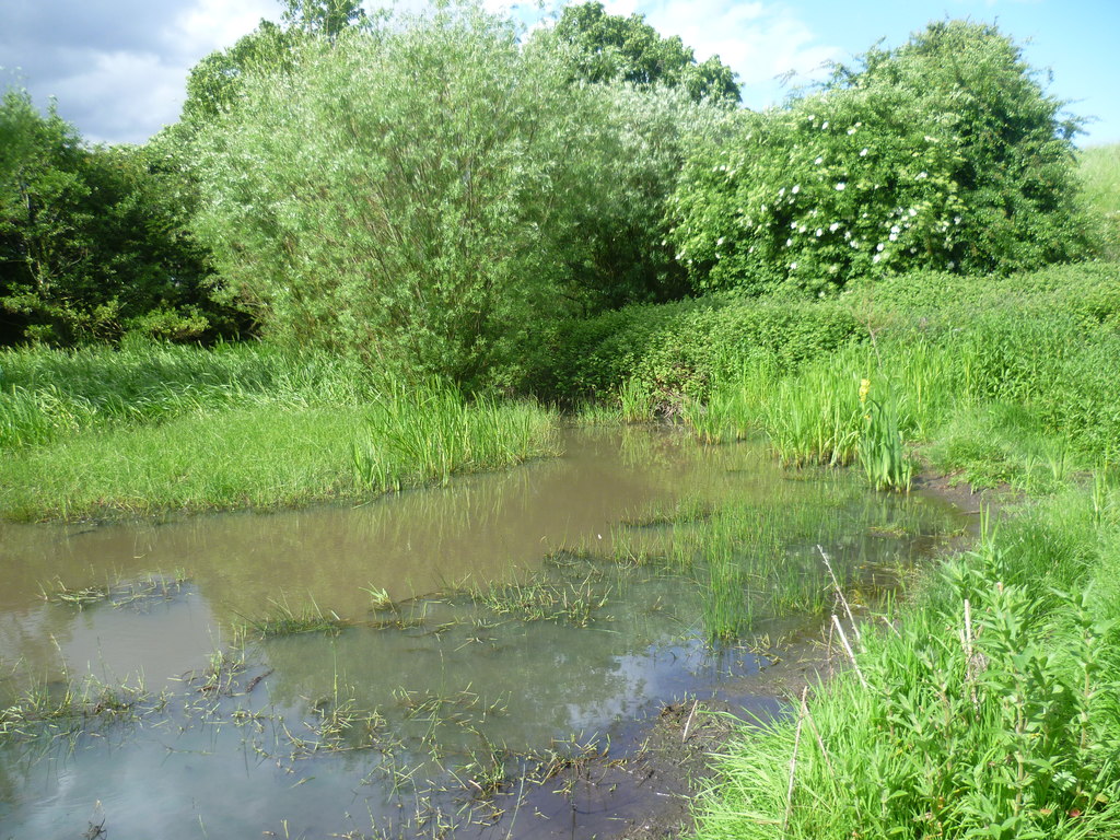 Abbey Ponds at Lesnes Abbey © Marathon :: Geograph Britain and Ireland