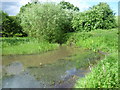 Abbey Ponds at Lesnes Abbey