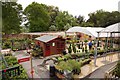 The Garden Centre at Batsford Arboretum