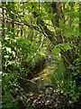 Looking upstream from Oakenhill Bridge