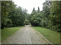 View along the path into Abney Park Cemetery