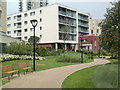 View of the path through the Woodberry Down Estate