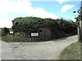 Pillbox covered with brambles and bushes at Cley