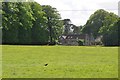 Bath and North East Somerset : Grassy Field