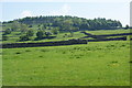 Walls and fields below Wilson Scar