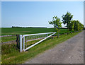 Gate to Cobweb Buildings