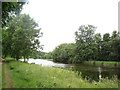 View of the Roding from the path in Wanstead Park #3