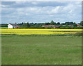 Farmland, Whimpton Moor