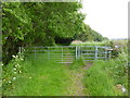 Swineham, kissing gate