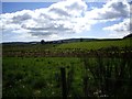 A view over East Mulloch