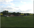 Grazing, Tindale Bank