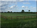 Farmland, Holy Tree Farm