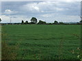 Farmland, Eagle Moor