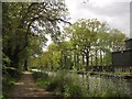 Basingstoke Canal