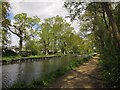 Basingstoke Canal