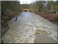 River Colne: In spate at North Mymms