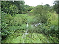 River Colne: High water level at North Mymms