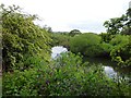 Meander on the River Clyde