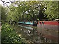 Houseboats, Basingstoke Canal