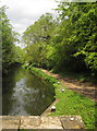 Basingstoke Canal