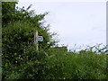 TM1539 : Footpath to the A137 by Geographer