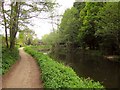 Basingstoke Canal