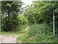 Footpath to Church Lane