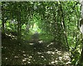 High Weald Landscape Trail in Rock