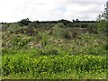 Creggandevesky Townland