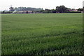 Railway line across the wheat field