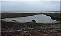 HY7244 : Tidal pool, Taing of Tor Sker, Sanday, Orkney by Claire Pegrum