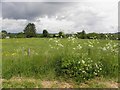 Creggandevesky Townland