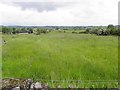 Creggandevesky Townland