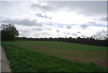 TQ6868 : Farmland, Cobham Park by N Chadwick
