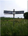 TM4181 : Roadsign on The Causeway by Geographer